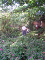 brazil_08_0.jpg-nggid03194-ngg0dyn-320x240x100-00f0w010c010r110f110r010t010